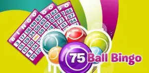 bingo-75-balls-500x246