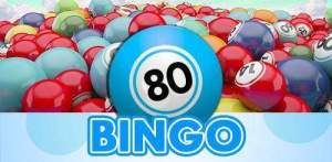 bingo-80-balls-500x246
